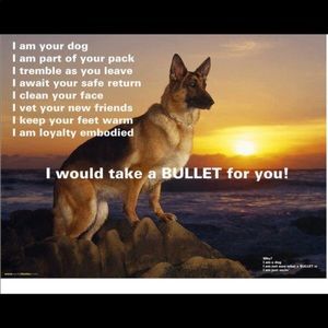 Meet your Posher, Kuldeep